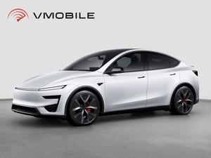 Tesla Model Y Performance