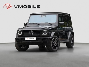 Mercedes-Benz G450d AMG Line