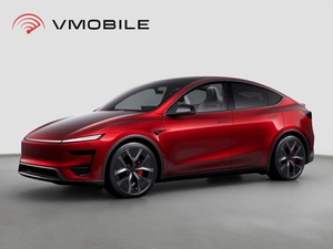 Tesla Model Y Performance