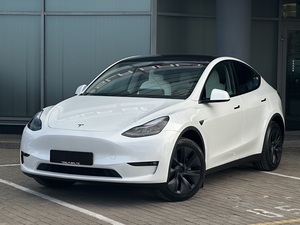 Tesla Model Y Long Range 7 Vietas